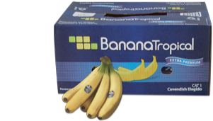 Banana Tropical