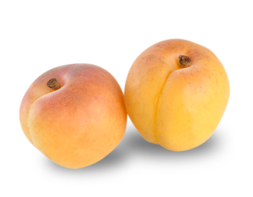 Damasco Tropical