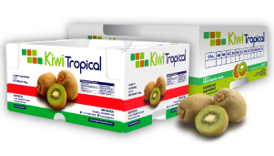 Kiwi Tropical