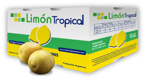 Limón Tropical