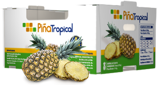 Piña Tropical