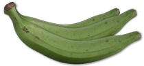 Plátano Tropical
